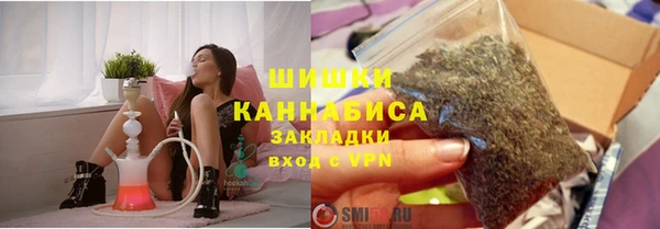 сатива Арсеньев